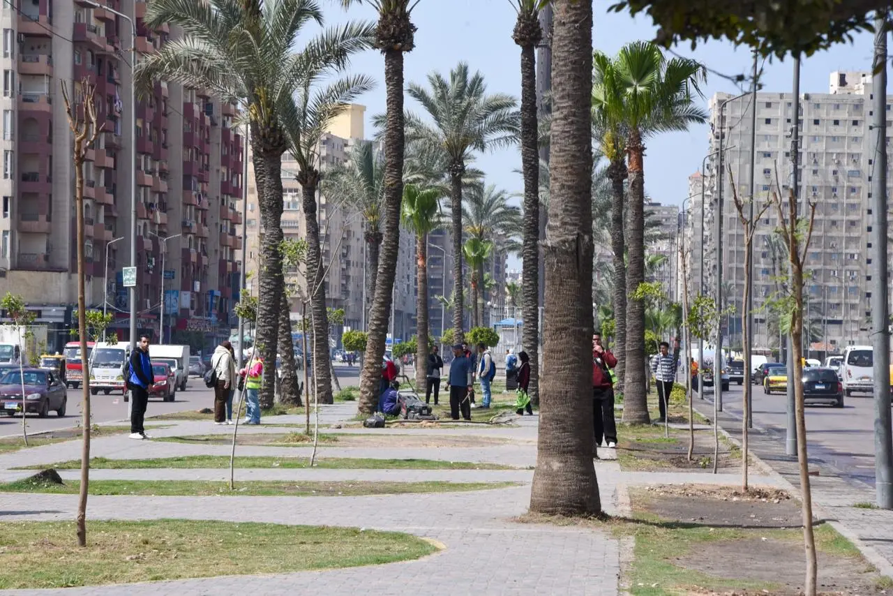 وزيرة التنميةالمحلية: زراعة 9460 شجرة لتعزيز الاستدامة البيئية وتحسين جودة الهواء بالإسكندرية - 1000598537