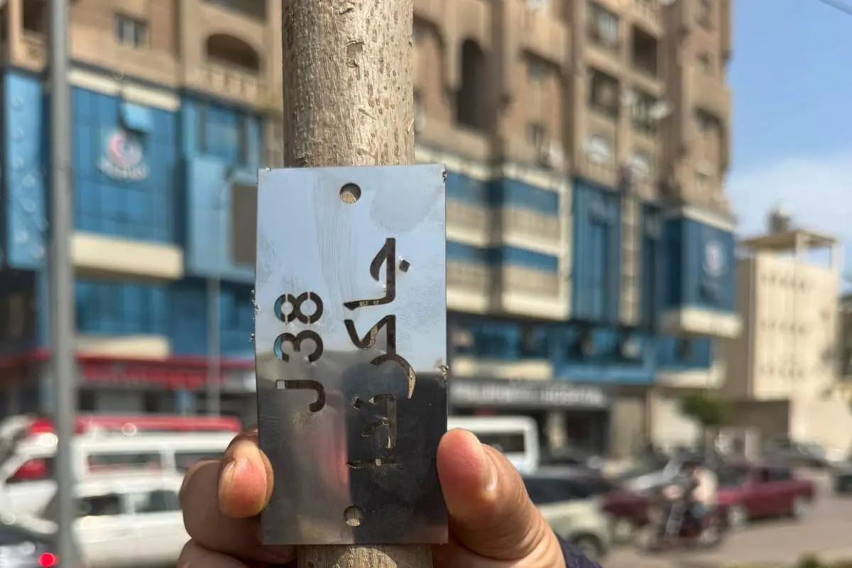 وزيرة التنميةالمحلية: زراعة 9460 شجرة لتعزيز الاستدامة البيئية وتحسين جودة الهواء بالإسكندرية - 1000598539