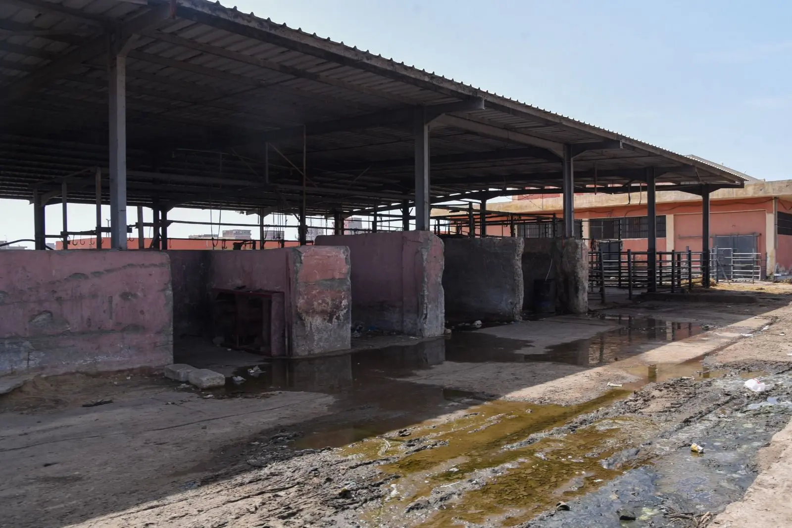 وزيرة التنمية المحلية والبيئة ومحافظ الأسكندرية يزوران المجزر الآلي بالعامرية - 1000598693