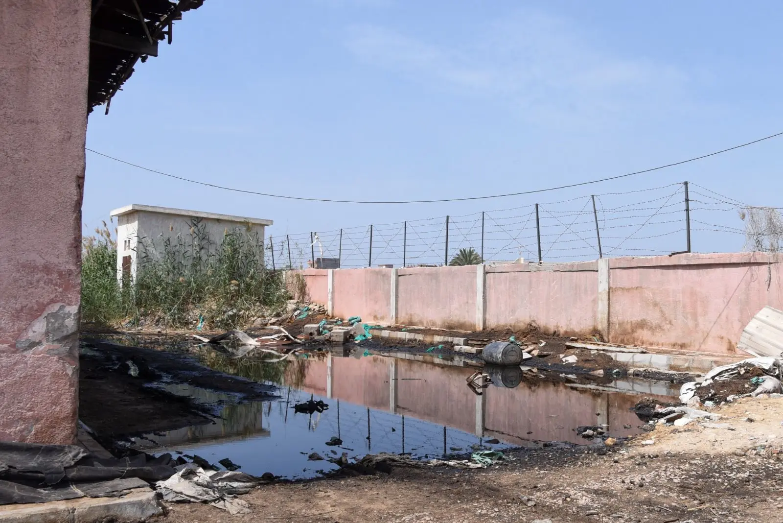 وزيرة التنمية المحلية والبيئة ومحافظ الأسكندرية يزوران المجزر الآلي بالعامرية - 1000598699