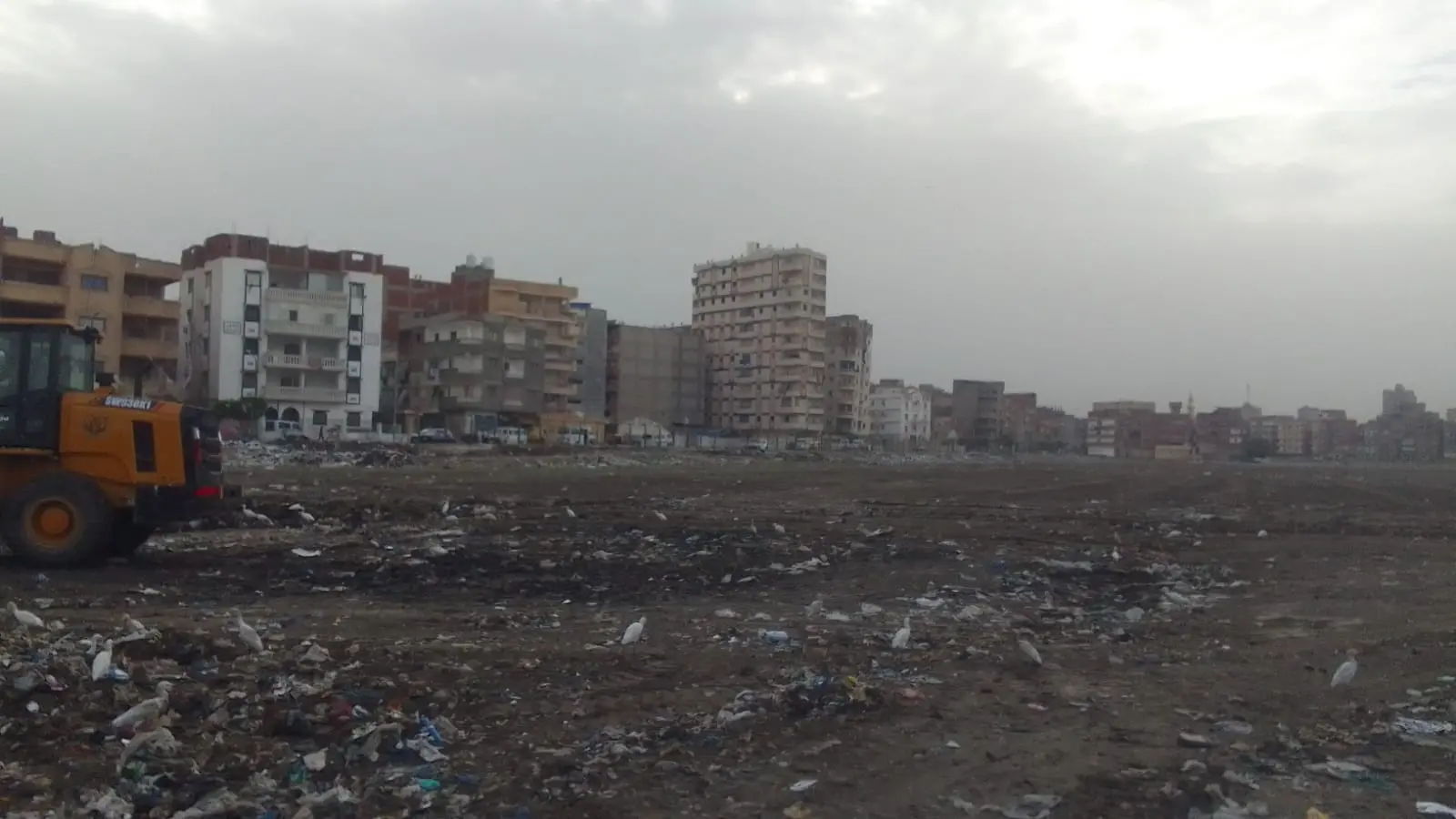 استجابة لشكاوى المواطنين.. محافظة الإسكندرية تزيل ٤ بؤر فرز المخلفات بأراضي فضاء داخل الكتل السكنية - 1000600834