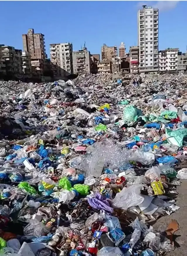 استجابة لشكاوى المواطنين.. محافظة الإسكندرية تزيل ٤ بؤر فرز المخلفات بأراضي فضاء داخل الكتل السكنية - 1000600837