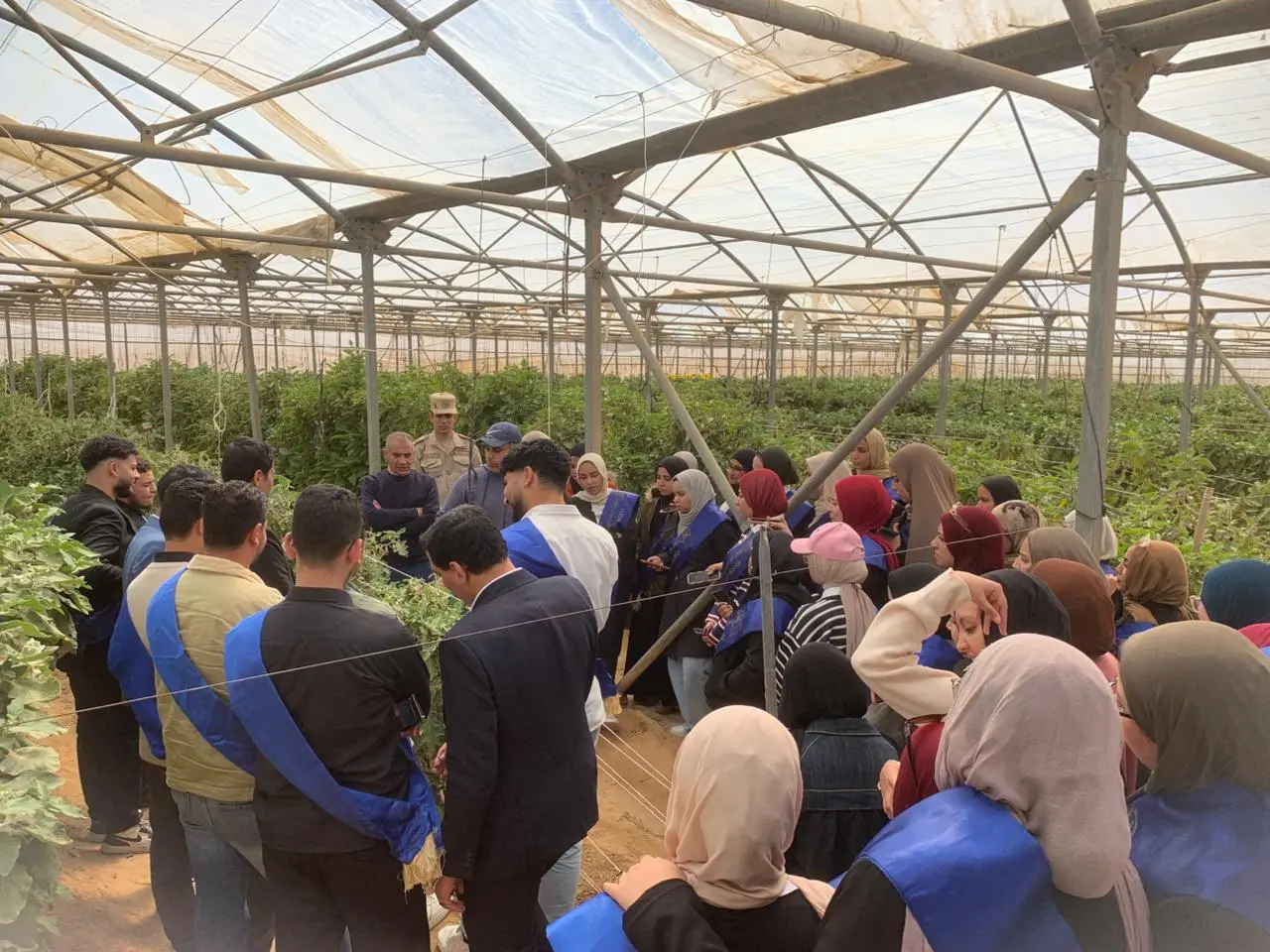 زيارة ميدانية لطلاب جامعة الإسكندرية إلى الشركة الوطنية للزراعات المحمية بقطاع محمد نجيب - 1000606907