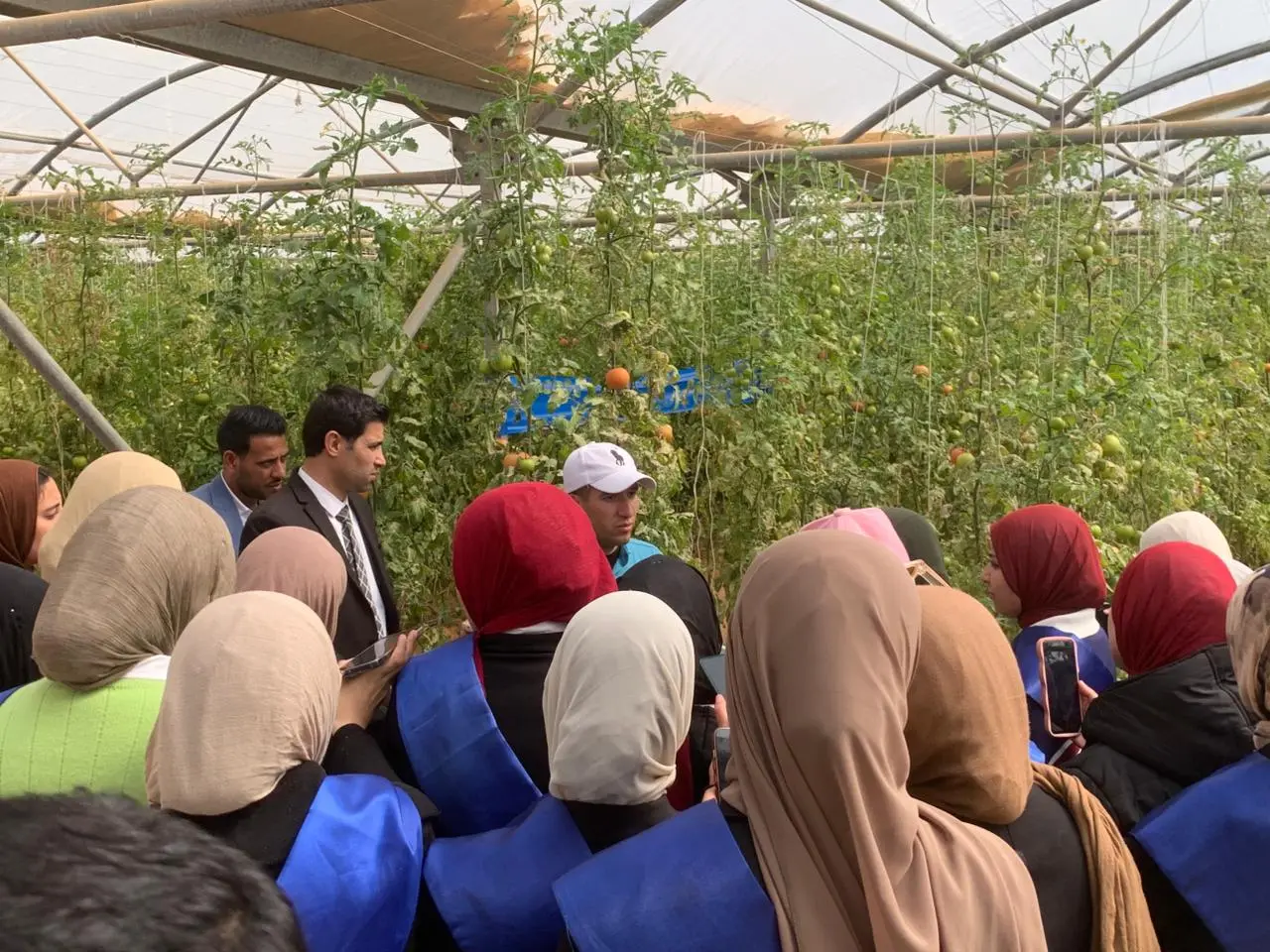 زيارة ميدانية لطلاب جامعة الإسكندرية إلى الشركة الوطنية للزراعات المحمية بقطاع محمد نجيب - 1000606908