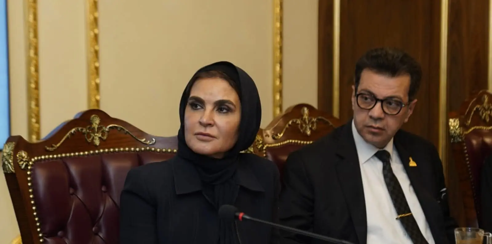 حزب الجبهة الوطنية يضع آليات جديدة لتعزيز الأداء التشريعي لنوابه بالشيوخ - 1000607651