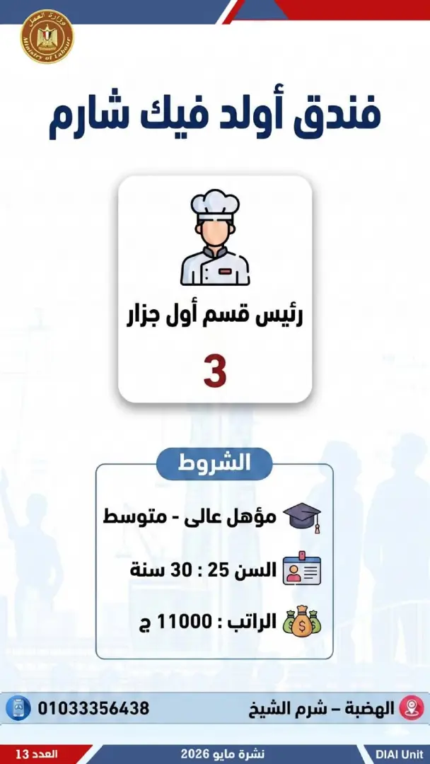 2554 فرصة عمل جديدة للشباب.. تعرف عليها - 1000611962