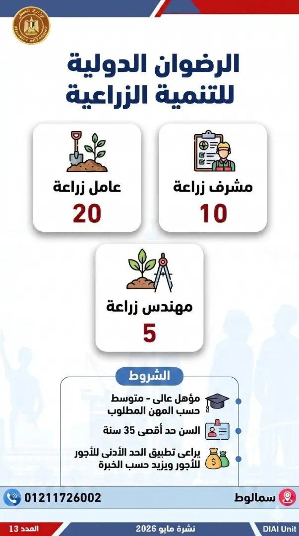2554 فرصة عمل جديدة للشباب.. تعرف عليها - 1000611972