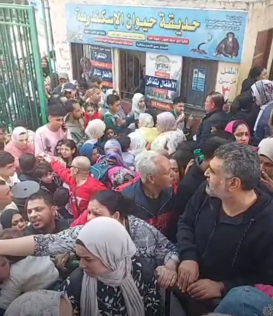 " كاملة العدد.. زحام وإقبال كبير على حديقة حيوان الإسكندرية في العيد - 1000612671
