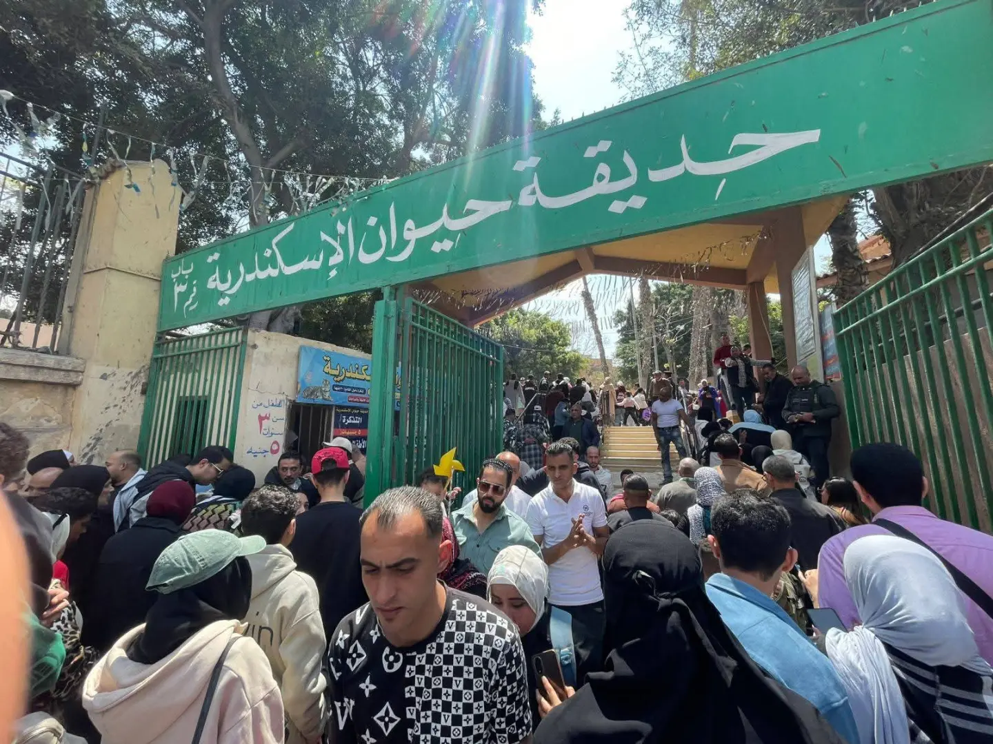 الدنيا ربيع والجو بديع.. الإسكندرية تستقبل الملايين في احتفالات شم النسيم 2026 - 1000612776