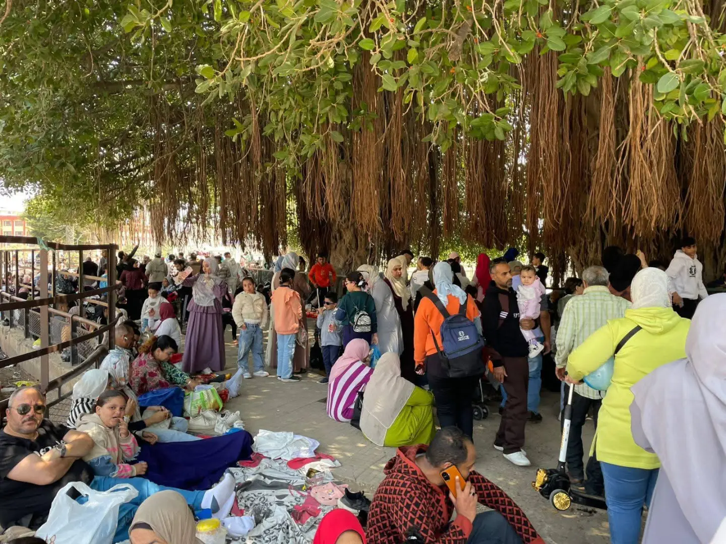 الدنيا ربيع والجو بديع.. الإسكندرية تستقبل الملايين في احتفالات شم النسيم 2026 - 1000612779