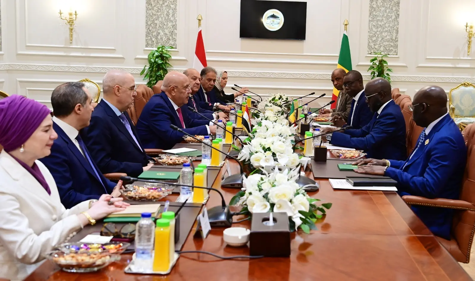 في إطار الاحتفال بيوم أفريقيا.. المستشار هشام بدوي يلتقي رئيس البرلمان السنغالي وسفراء الدول الأفريقية في مصر - 1000629200