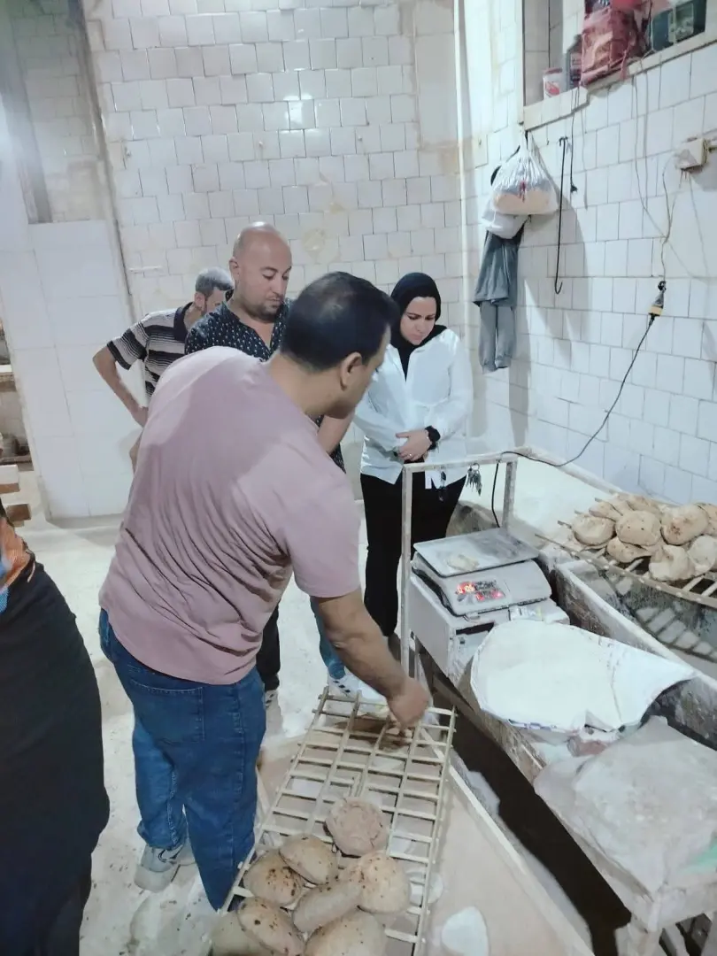 ضبط أكثر من نصف طن لحوم غير صالحة وتحرير محاضر لمخابز مخالفة بالمنوفية - 1000630765