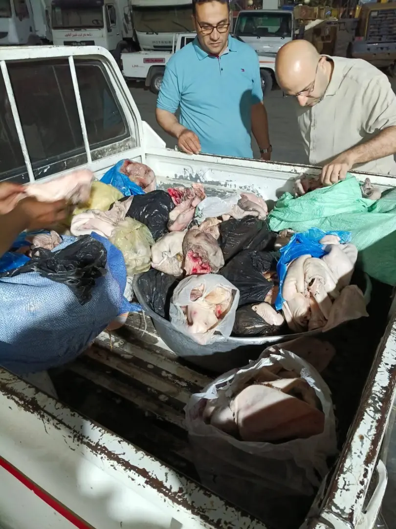 ضبط أكثر من نصف طن لحوم غير صالحة وتحرير محاضر لمخابز مخالفة بالمنوفية