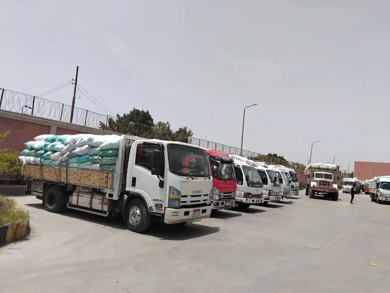 محافظ المنوفية: توريد أكثر من 120 ألف طن قمح منذ بدء الموسم - 1000630778