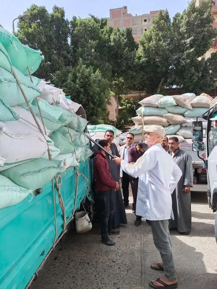 محافظ المنوفية: توريد أكثر من 120 ألف طن قمح منذ بدء الموسم - 1000630779