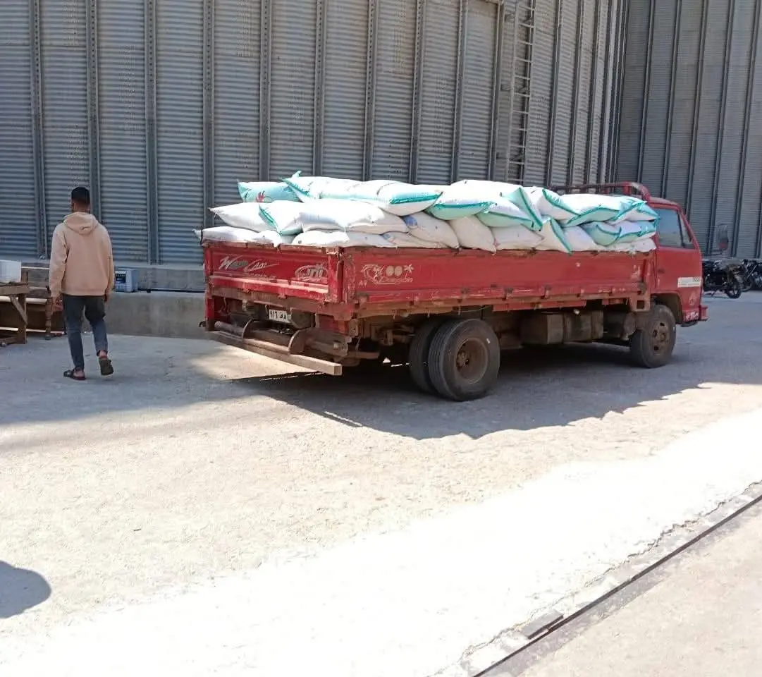 محافظ المنوفية: توريد أكثر من 120 ألف طن قمح منذ بدء الموسم - 1000630780
