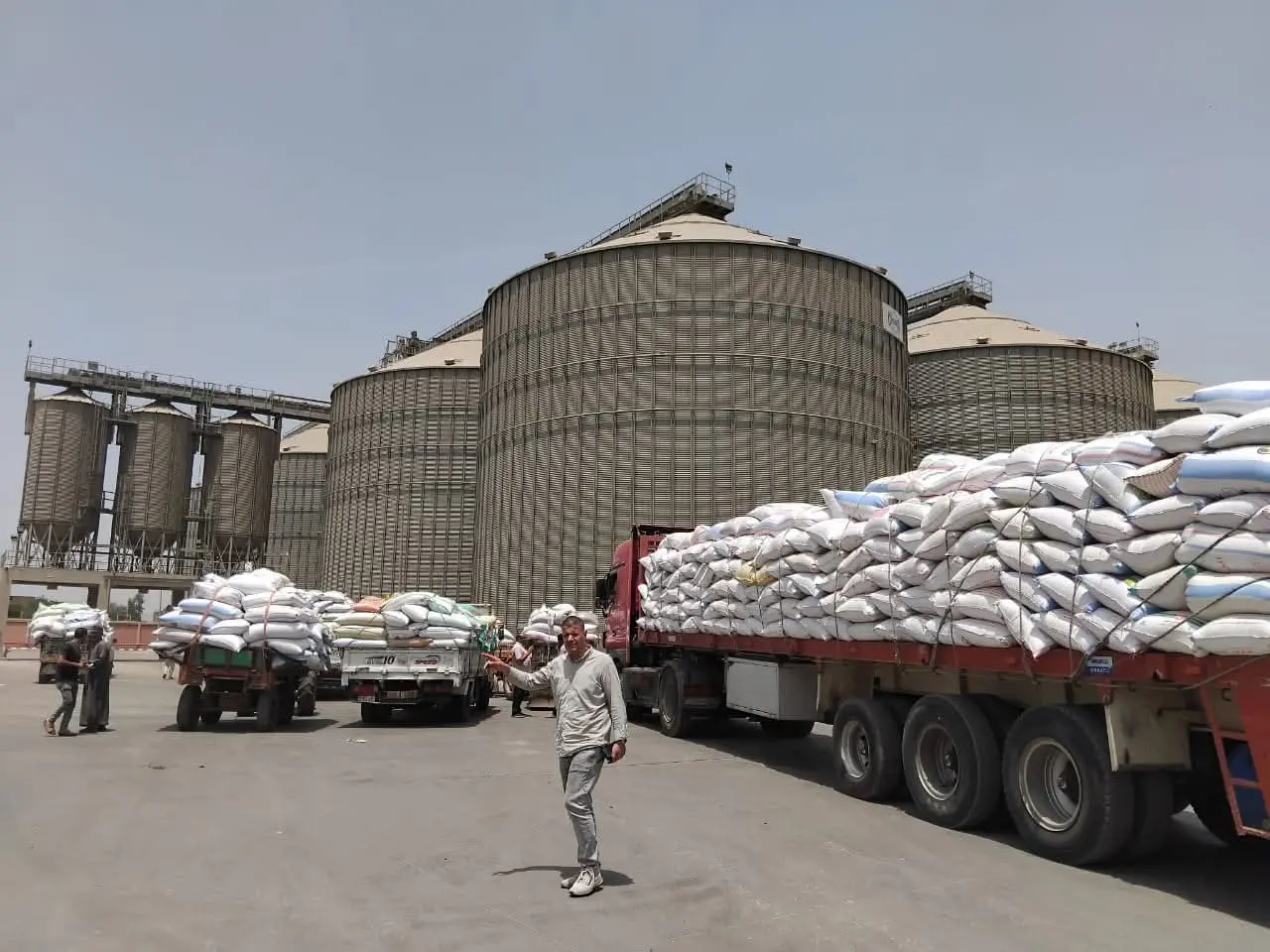 محافظ المنوفية: توريد أكثر من 120 ألف طن قمح منذ بدء الموسم - 1000630786