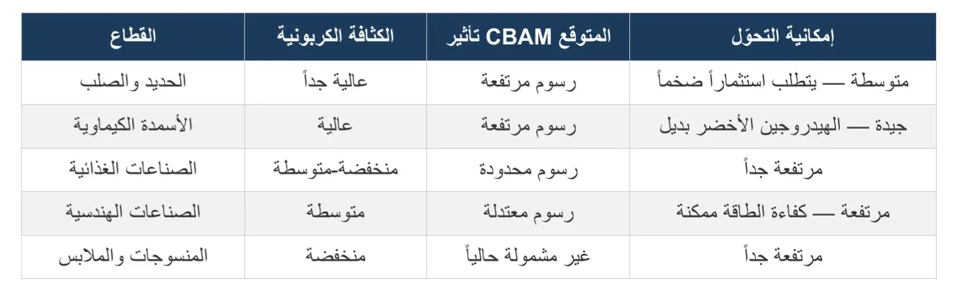 إعادة هيكلة المسار: من المناطق التقليدية إلى المدن الاقتصادية المتخصصة (2) - 1000633217