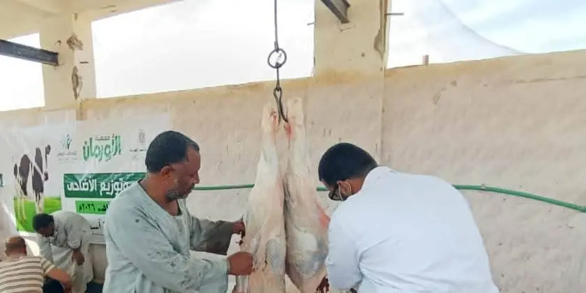 الطب البيطري بأسوان يتابع أعمال ذبح الأضاحي بالمجان داخل المجازر خلال عيد الأضحى - 1000640829