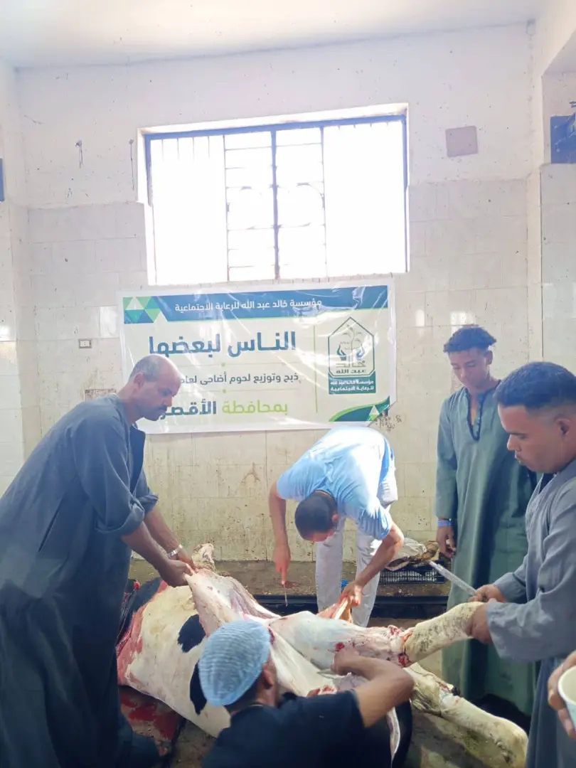 ذبح 40 عجلًا بالمجان بمجازر الأقصر وتوزيع اللحوم على 8 آلاف أسرة في أول أيام عيد الأضحى - 1000640836