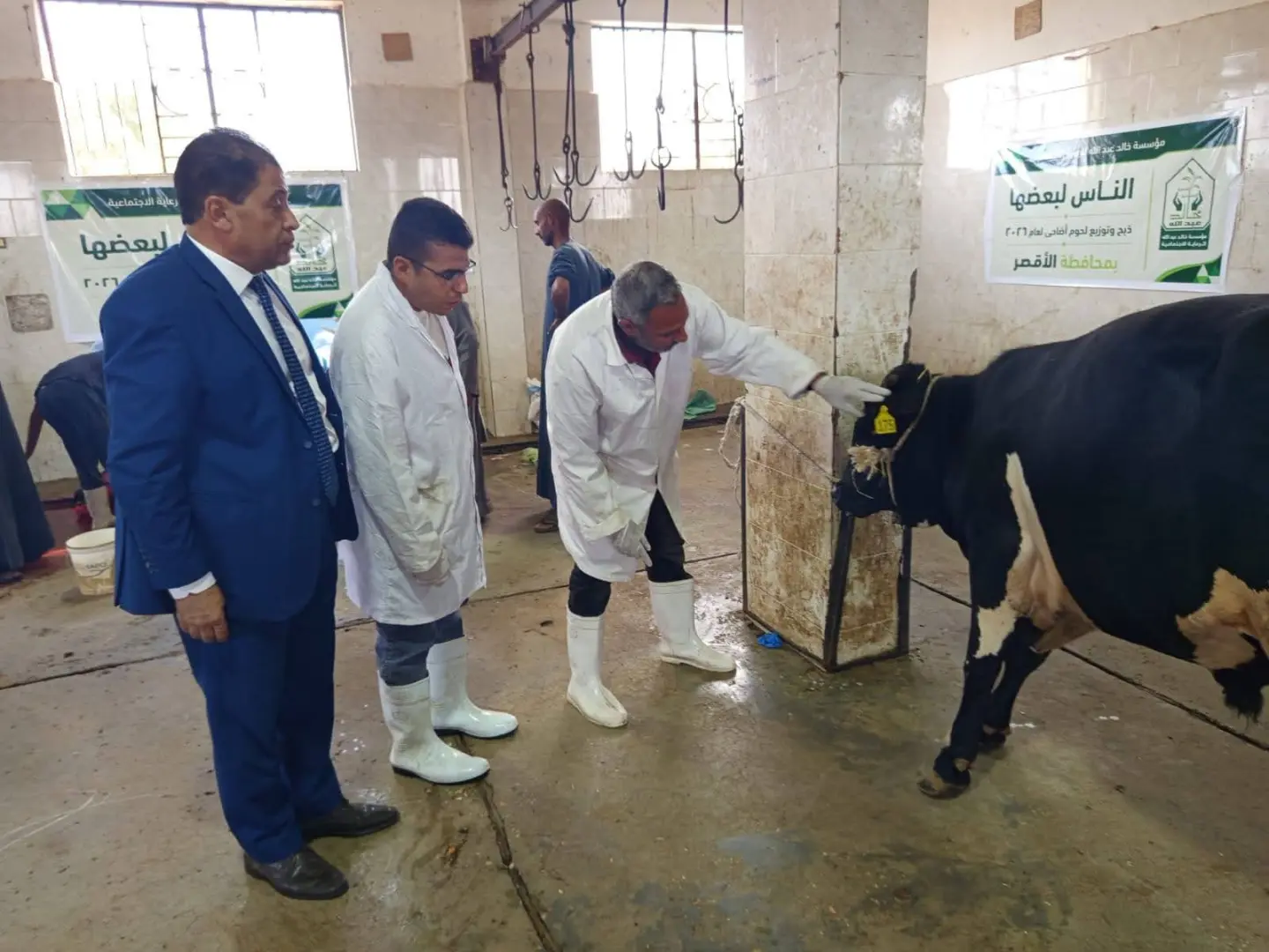 ذبح 40 عجلًا بالمجان بمجازر الأقصر وتوزيع اللحوم على 8 آلاف أسرة في أول أيام عيد الأضحى - 1000640838