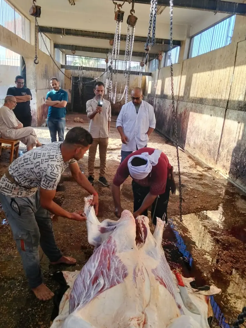 محافظ أسيوط يتابع أعمال ذبح الأضاحي بالمجازر الحكومية ويشدد على منع الذبح بالشوارع - 1000640874