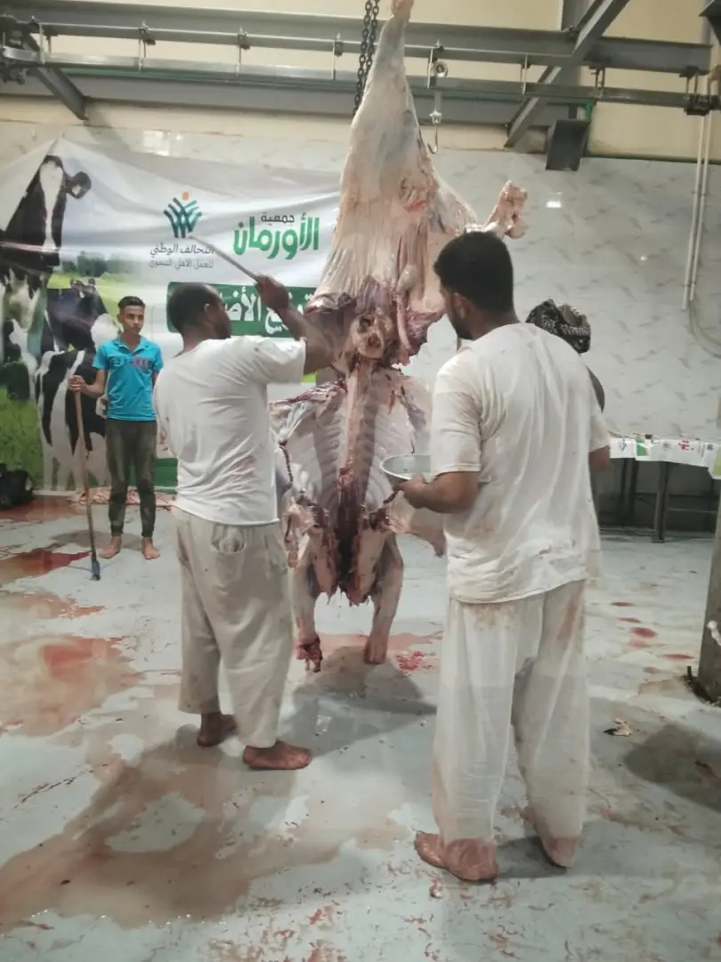 محافظ أسيوط يتابع أعمال ذبح الأضاحي بالمجازر الحكومية ويشدد على منع الذبح بالشوارع - 1000640875