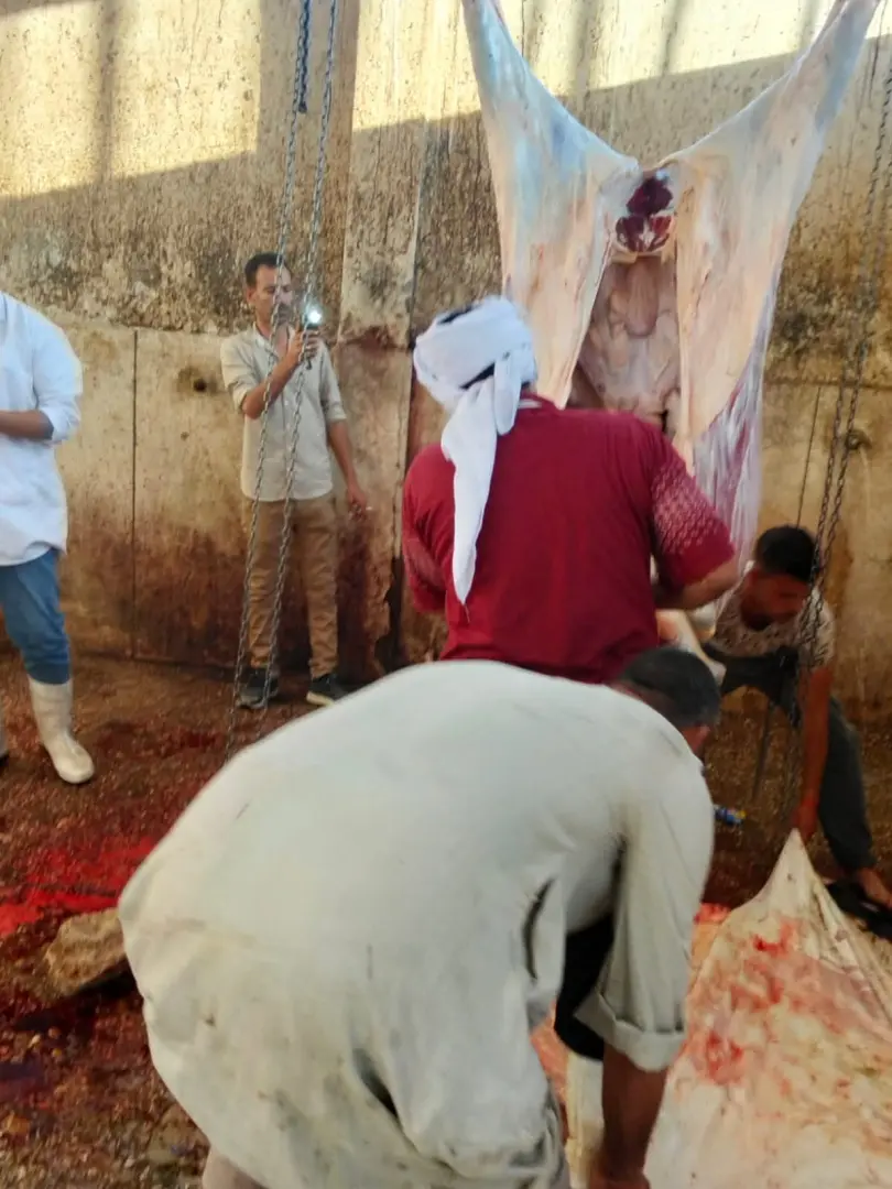 محافظ أسيوط يتابع أعمال ذبح الأضاحي بالمجازر الحكومية ويشدد على منع الذبح بالشوارع - 1000640878