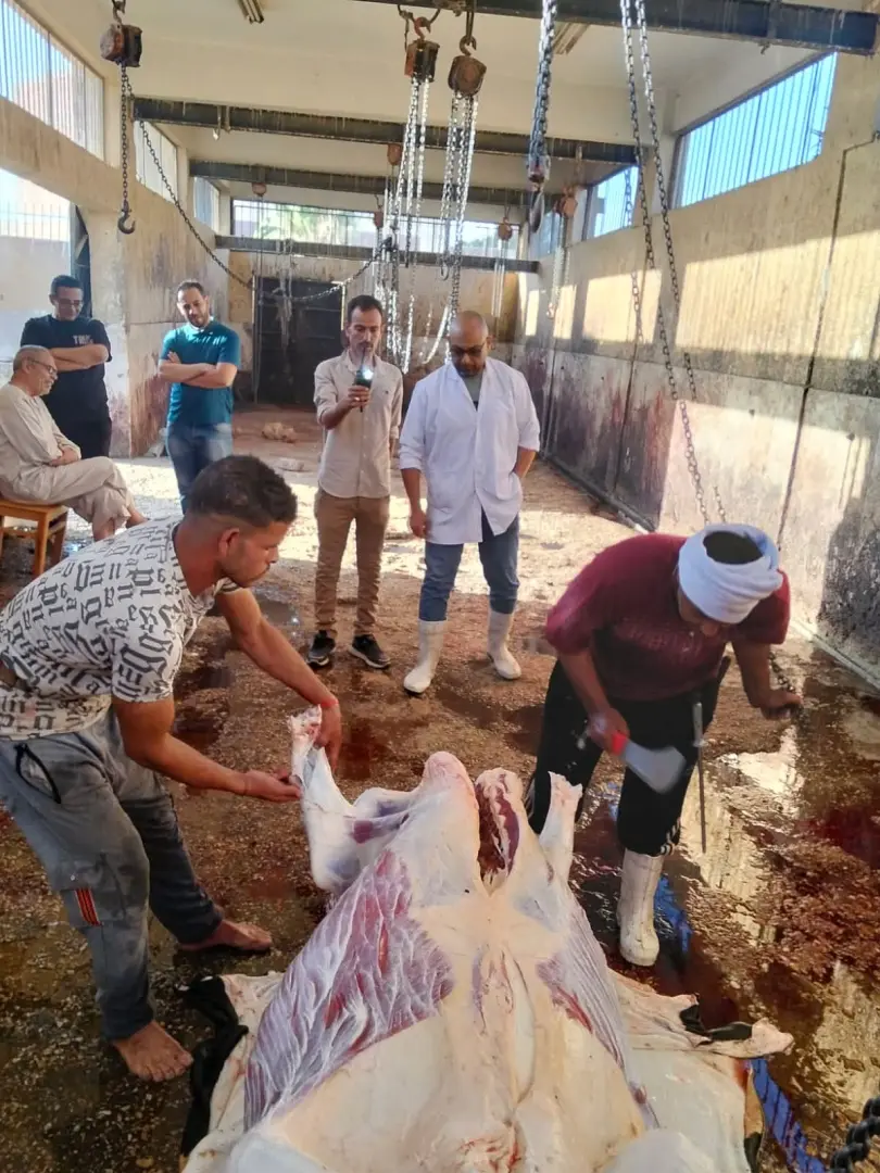 محافظ أسيوط يتابع أعمال ذبح الأضاحي بالمجازر الحكومية ويشدد على منع الذبح بالشوارع - 1000640879