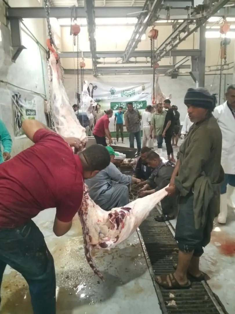 محافظ أسيوط يتابع أعمال ذبح الأضاحي بالمجازر الحكومية ويشدد على منع الذبح بالشوارع - 1000640881