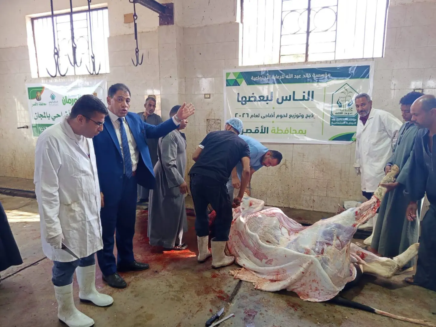 بيطري الأقصر: ذبح 180 عجلًا بالمجازر الحكومية خلال عيد الأضحى - 1000645116