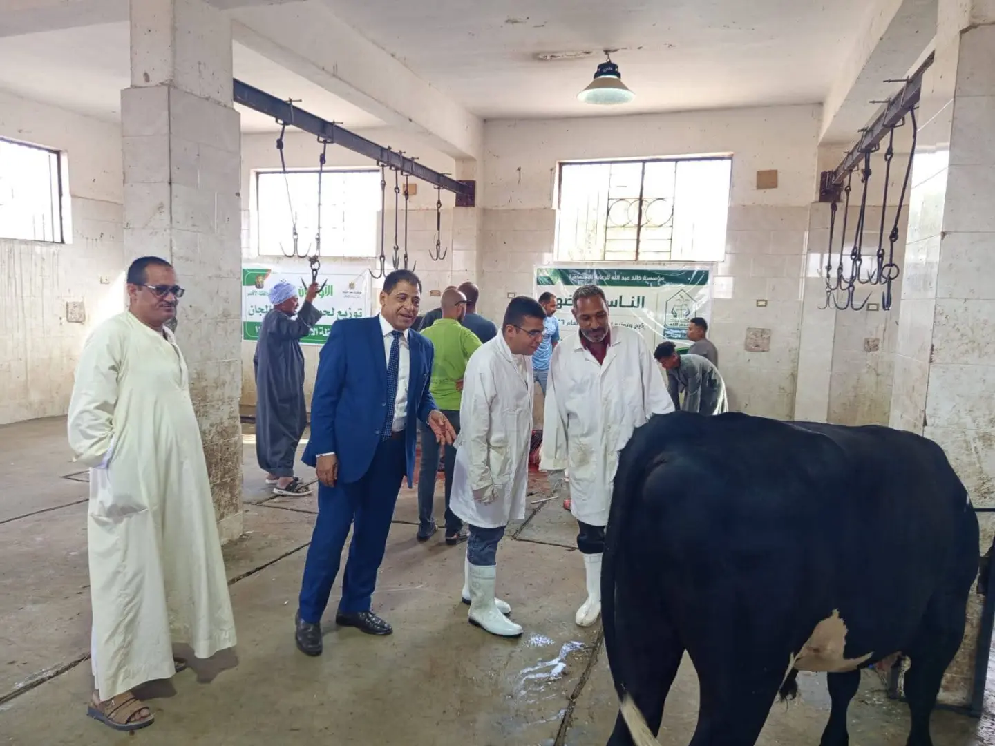 بيطري الأقصر: ذبح 180 عجلًا بالمجازر الحكومية خلال عيد الأضحى - 1000645117