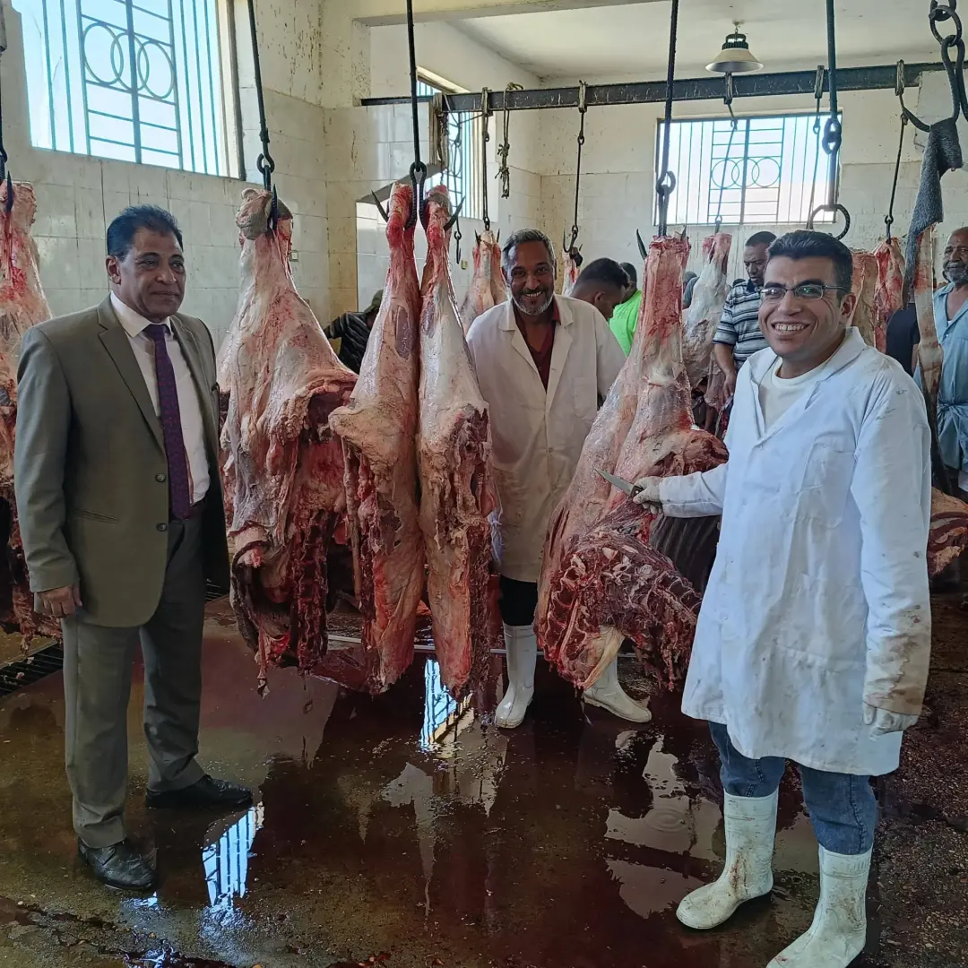 بيطري الأقصر: ذبح 180 عجلًا بالمجازر الحكومية خلال عيد الأضحى