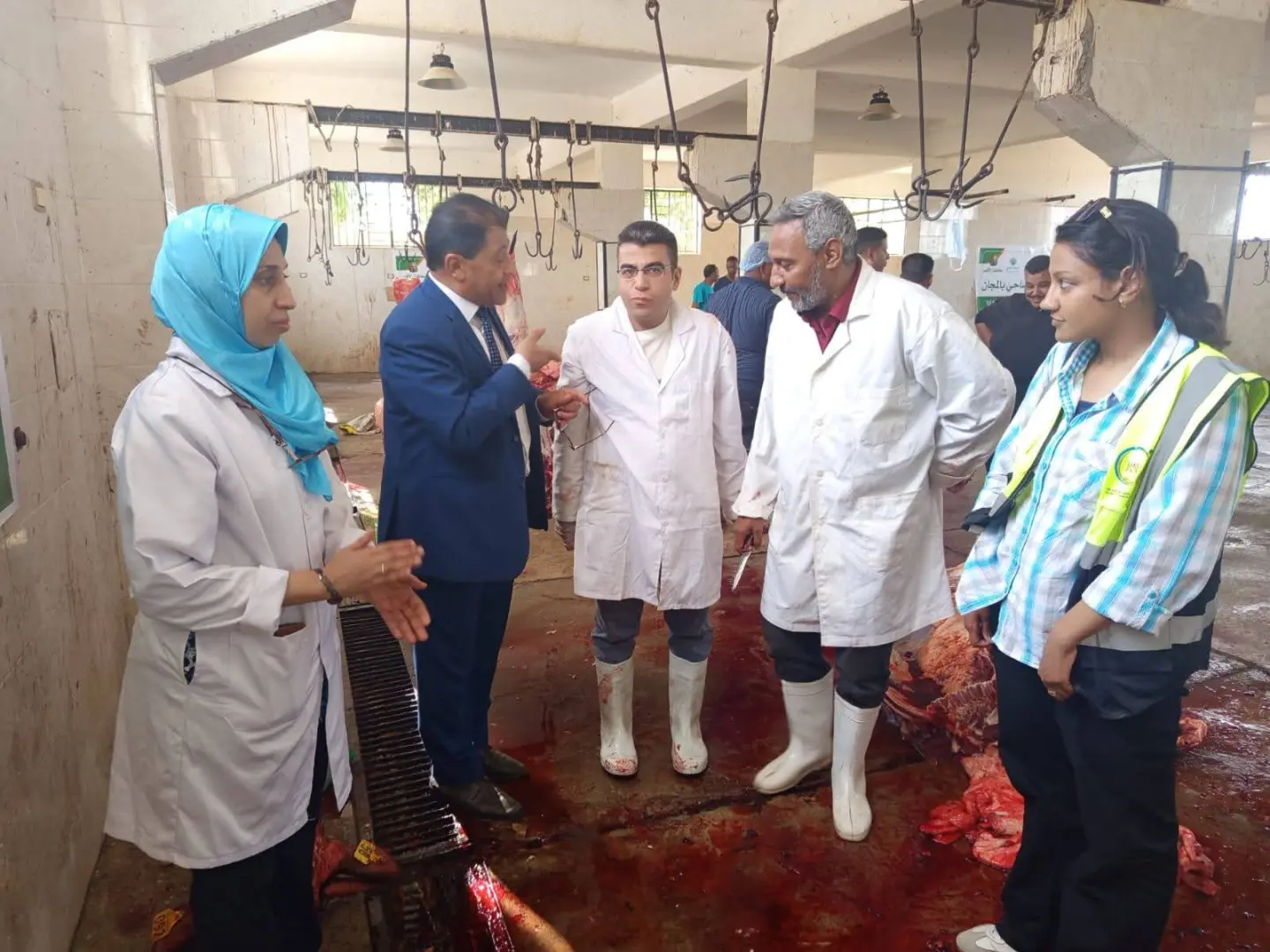 بيطري الأقصر: ذبح 180 عجلًا بالمجازر الحكومية خلال عيد الأضحى - 1000645121