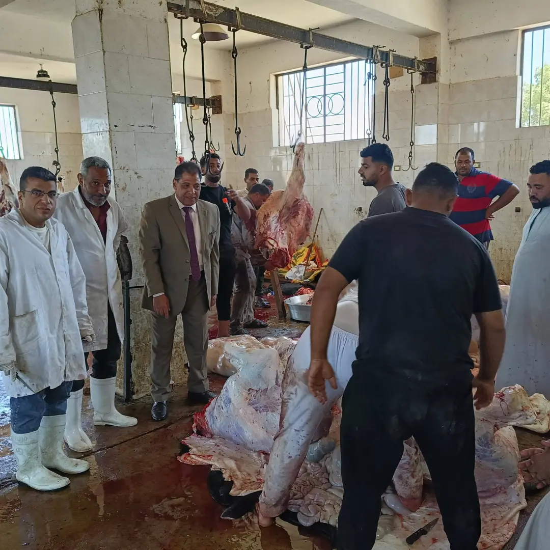 بيطري الأقصر: ذبح 180 عجلًا بالمجازر الحكومية خلال عيد الأضحى - 1000645122