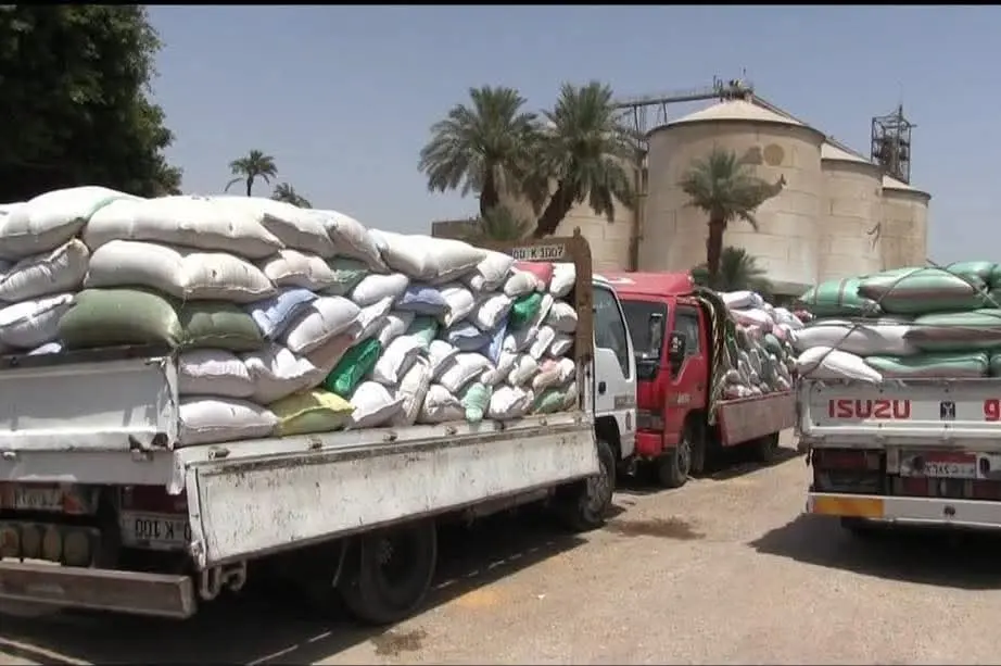 محافظ سوهاج: طفرة في توريد القمح واستقبال 170 ألف طن منذ بدء الموسم - 1000645130