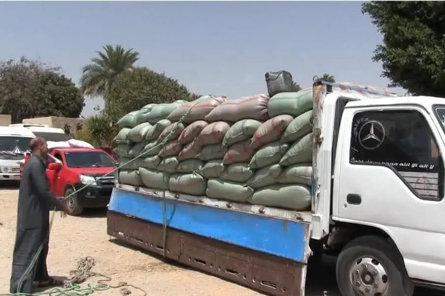 محافظ سوهاج: طفرة في توريد القمح واستقبال 170 ألف طن منذ بدء الموسم - 1000645131