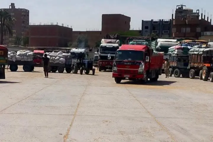 محافظ سوهاج: طفرة في توريد القمح واستقبال 170 ألف طن منذ بدء الموسم - 1000645132
