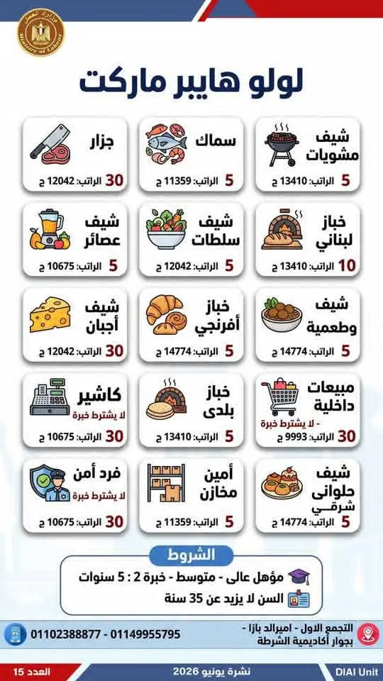 4504 فرصة عمل في 77 شركة بـ14 محافظة.. إليك التفاصيل - 1000650678