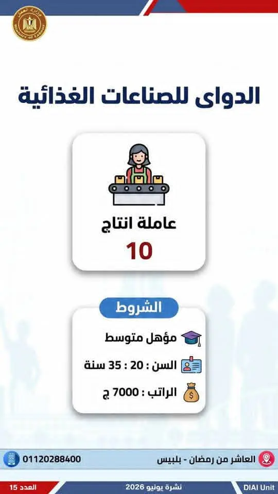 4504 فرصة عمل في 77 شركة بـ14 محافظة.. إليك التفاصيل - 1000650691