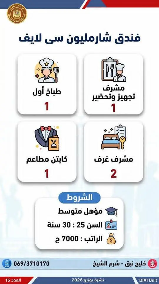 4504 فرصة عمل في 77 شركة بـ14 محافظة.. إليك التفاصيل - 1000650718