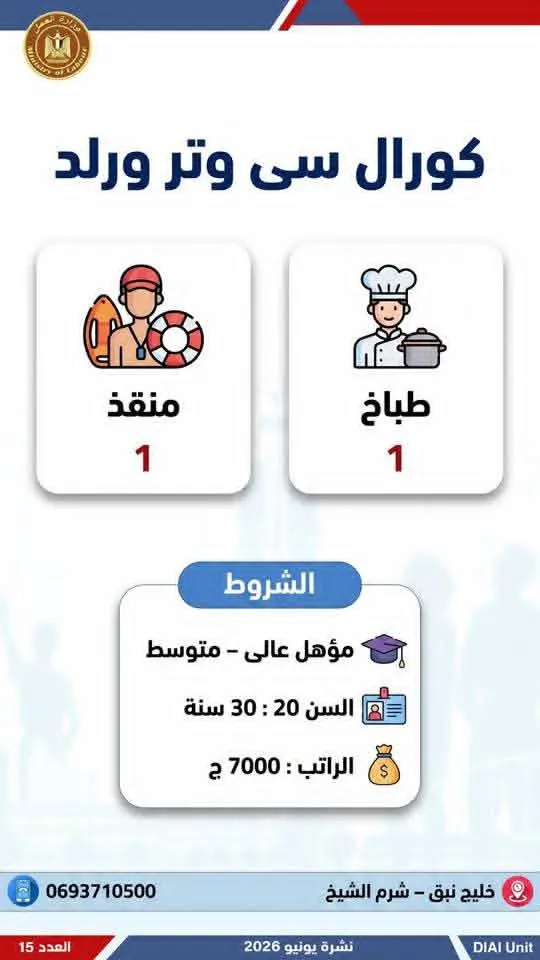 4504 فرصة عمل في 77 شركة بـ14 محافظة.. إليك التفاصيل - 1000650719