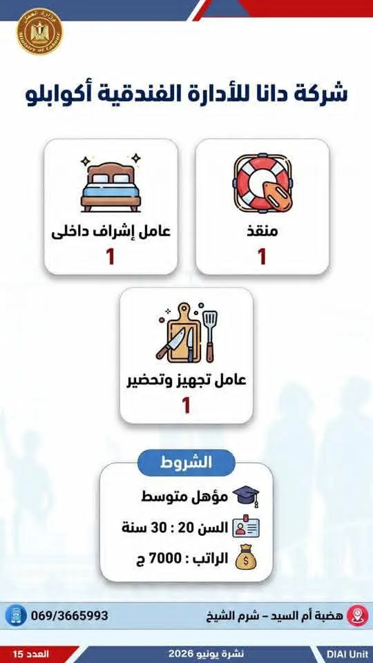 4504 فرصة عمل في 77 شركة بـ14 محافظة.. إليك التفاصيل - 1000650734
