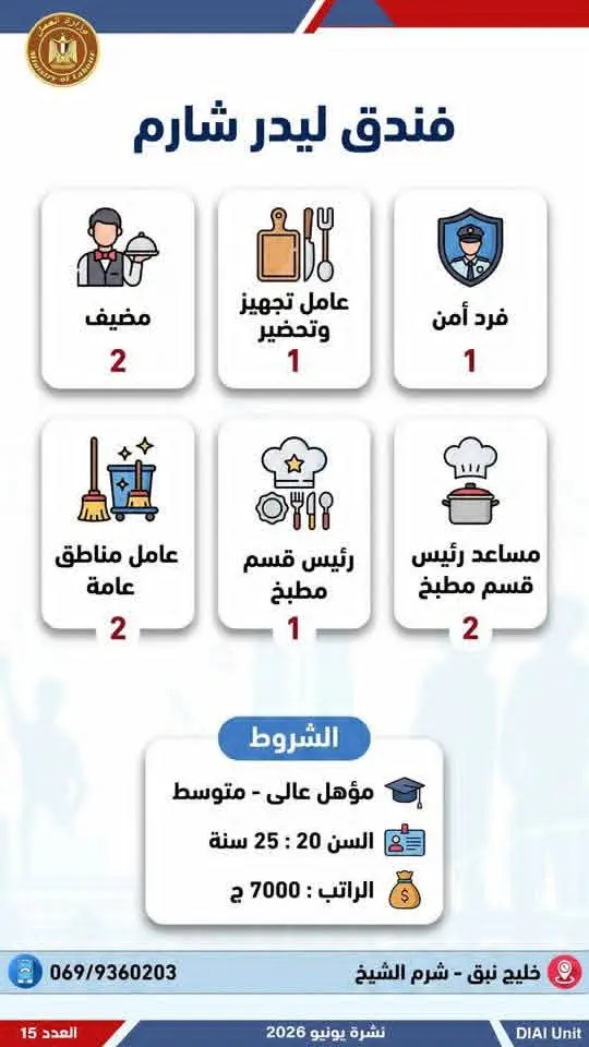 4504 فرصة عمل في 77 شركة بـ14 محافظة.. إليك التفاصيل - 1000650737