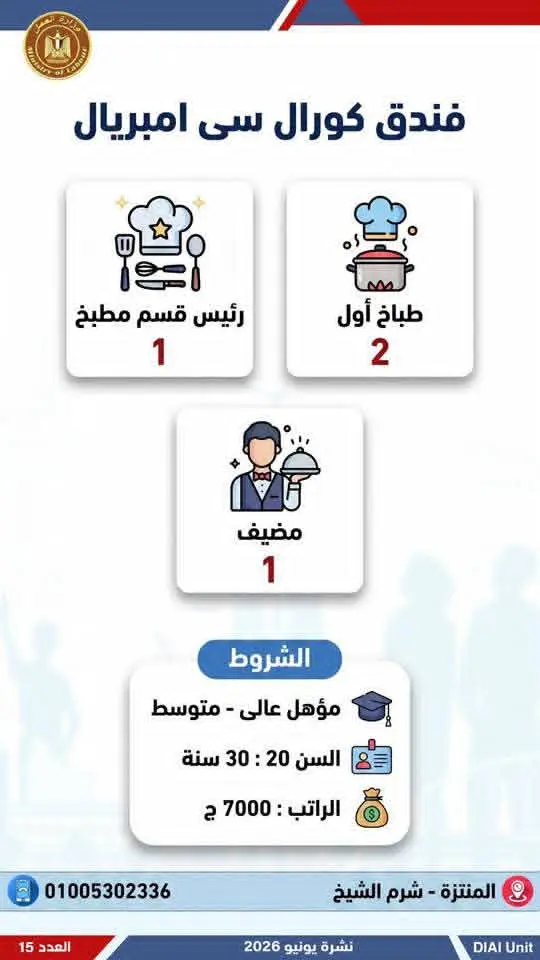 4504 فرصة عمل في 77 شركة بـ14 محافظة.. إليك التفاصيل - 1000650738