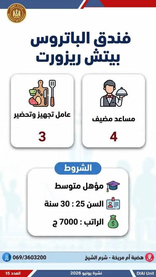 4504 فرصة عمل في 77 شركة بـ14 محافظة.. إليك التفاصيل - 1000650740