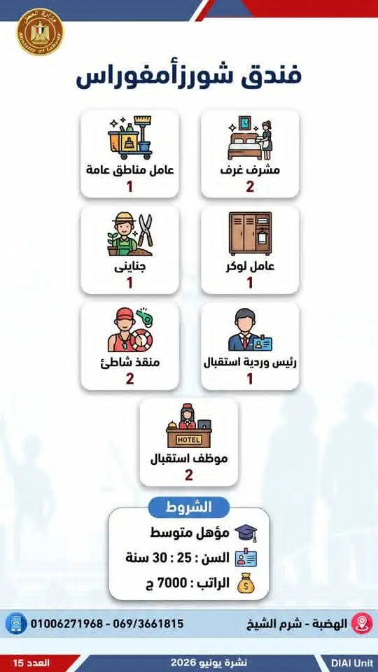 4504 فرصة عمل في 77 شركة بـ14 محافظة.. إليك التفاصيل - 1000650744