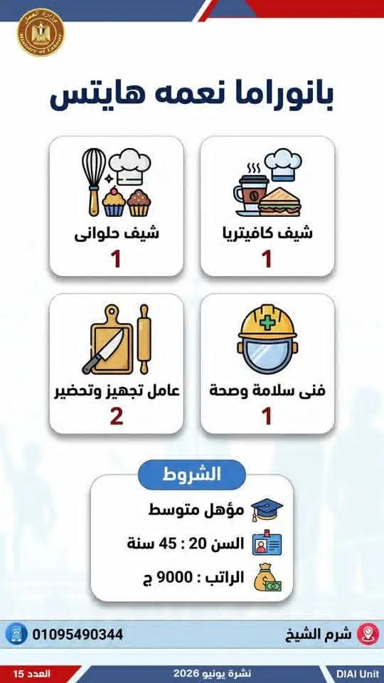 4504 فرصة عمل في 77 شركة بـ14 محافظة.. إليك التفاصيل - 1000650745