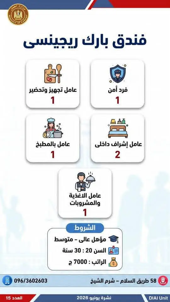 4504 فرصة عمل في 77 شركة بـ14 محافظة.. إليك التفاصيل - 1000650748