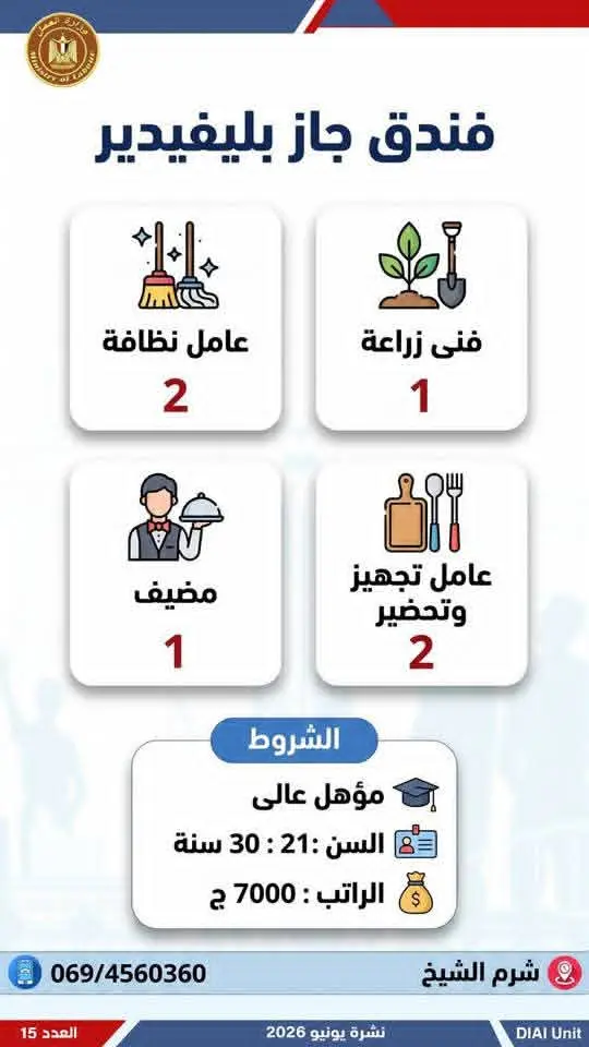 4504 فرصة عمل في 77 شركة بـ14 محافظة.. إليك التفاصيل - 1000650759